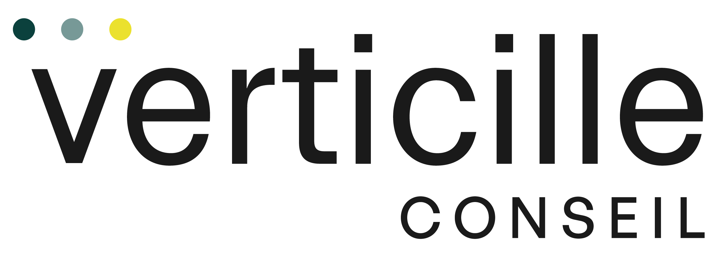 logo Verticille_rvb